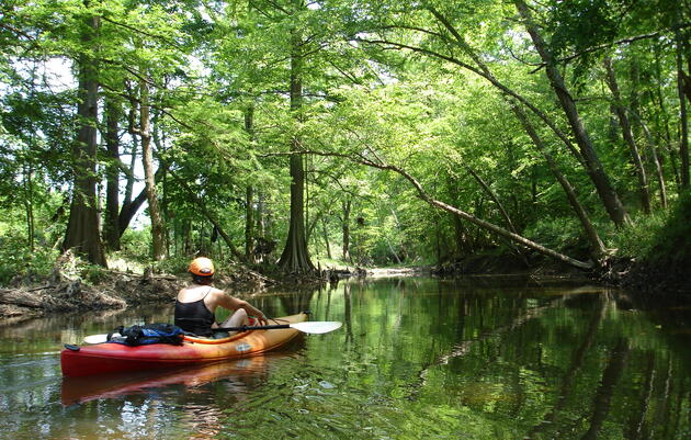 Floating Fourche Creek